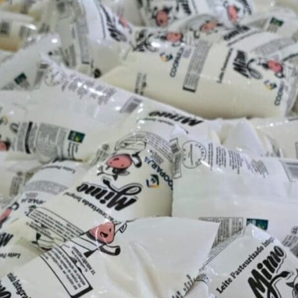 Leite adquirido através do PAA começa a ser entregue - saquinhos de leite