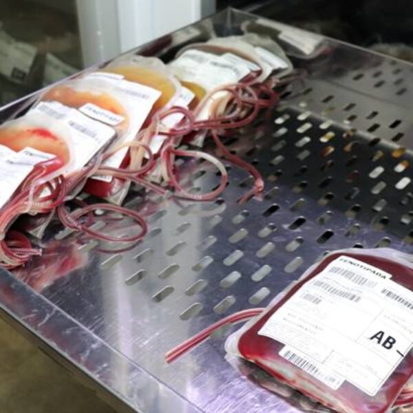 Hemocentro envia 600 bolsas de sangue para o Rio Grande do Sul e convoca voluntários para novas doações