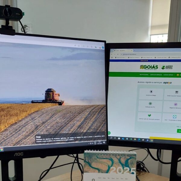 Produtor rural tem até 17 de janeiro para efetuar cadastro de lavoura de soja em Goiás