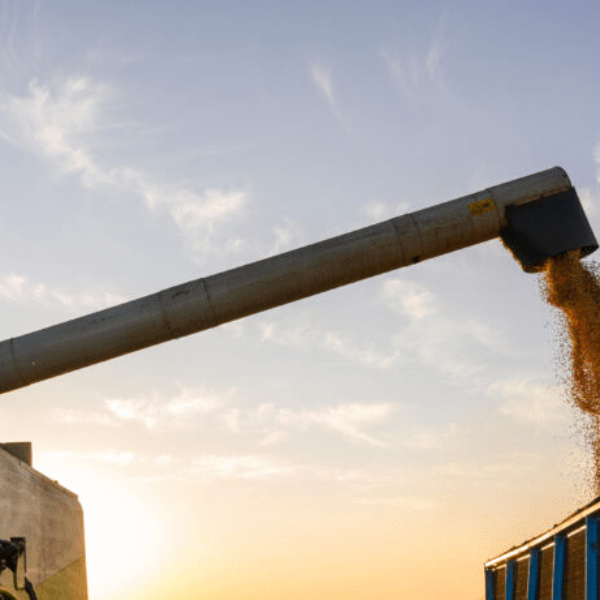 Goiás fecha 2024 com recordes no agronegócio e consolida posição de destaque nacional e internacional - Colheita de grãos