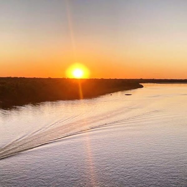 Filme “Um Parque Para Viver” estreia em Goiânia