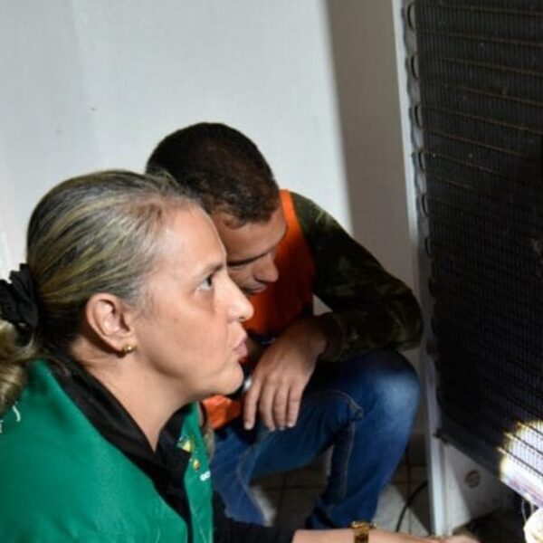 Saúde alerta sobre necessidade de intensificar combate ao Aedes aegypti nas férias