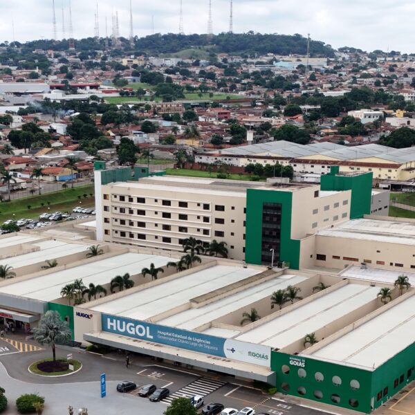 Hugol realiza plantio de mudas doadas pela Emater e UFG