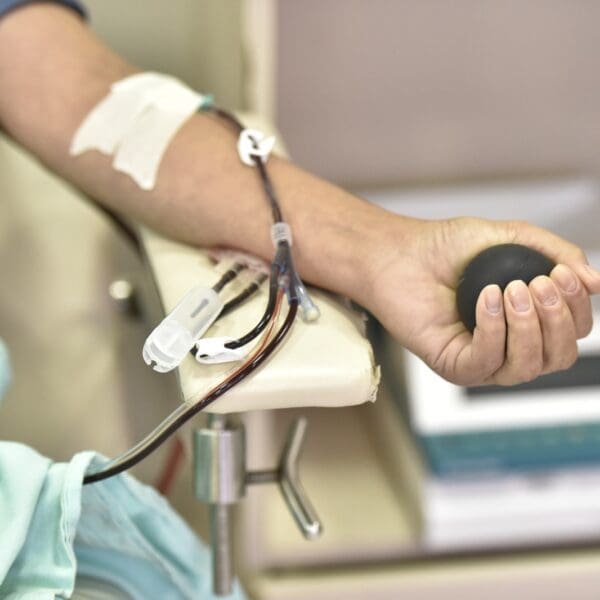 Hemocentro e Prefeitura de Goiânia incentivam doação de sangue e fazem testagens gratuitas - Doação de sangue