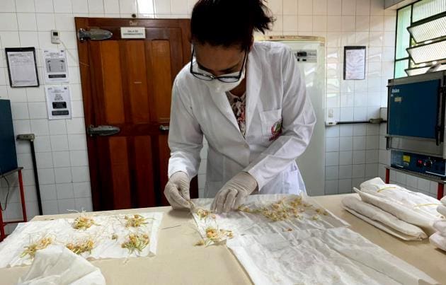 Laboratório de sementes agrodefesa