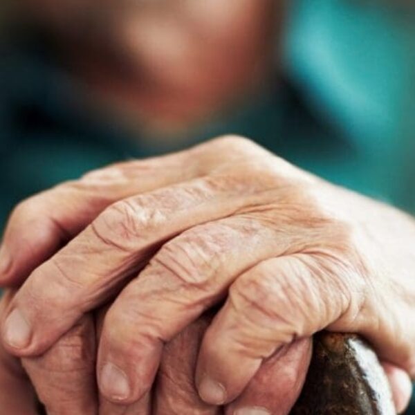 Harmonização de Roteiros Objetivos de Inspeção fortalece fiscalização sanitária em Goiás - (Foto: Freepik)