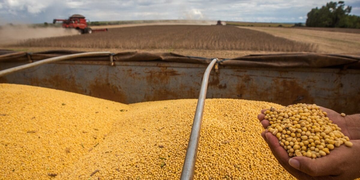 Goiás registra superávit de US$ 222 milhões na Balança Comercial de fevereiro