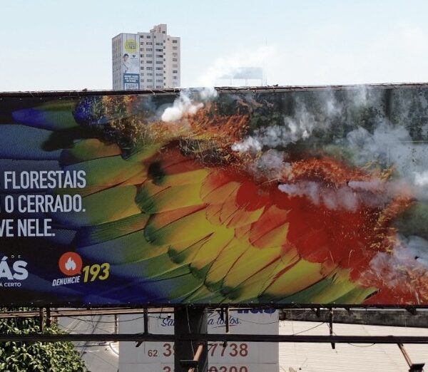 Campanha do Governo de Goiás vence prêmio publicitário