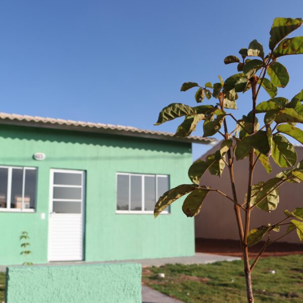 casas a custo zero em 15 municípios