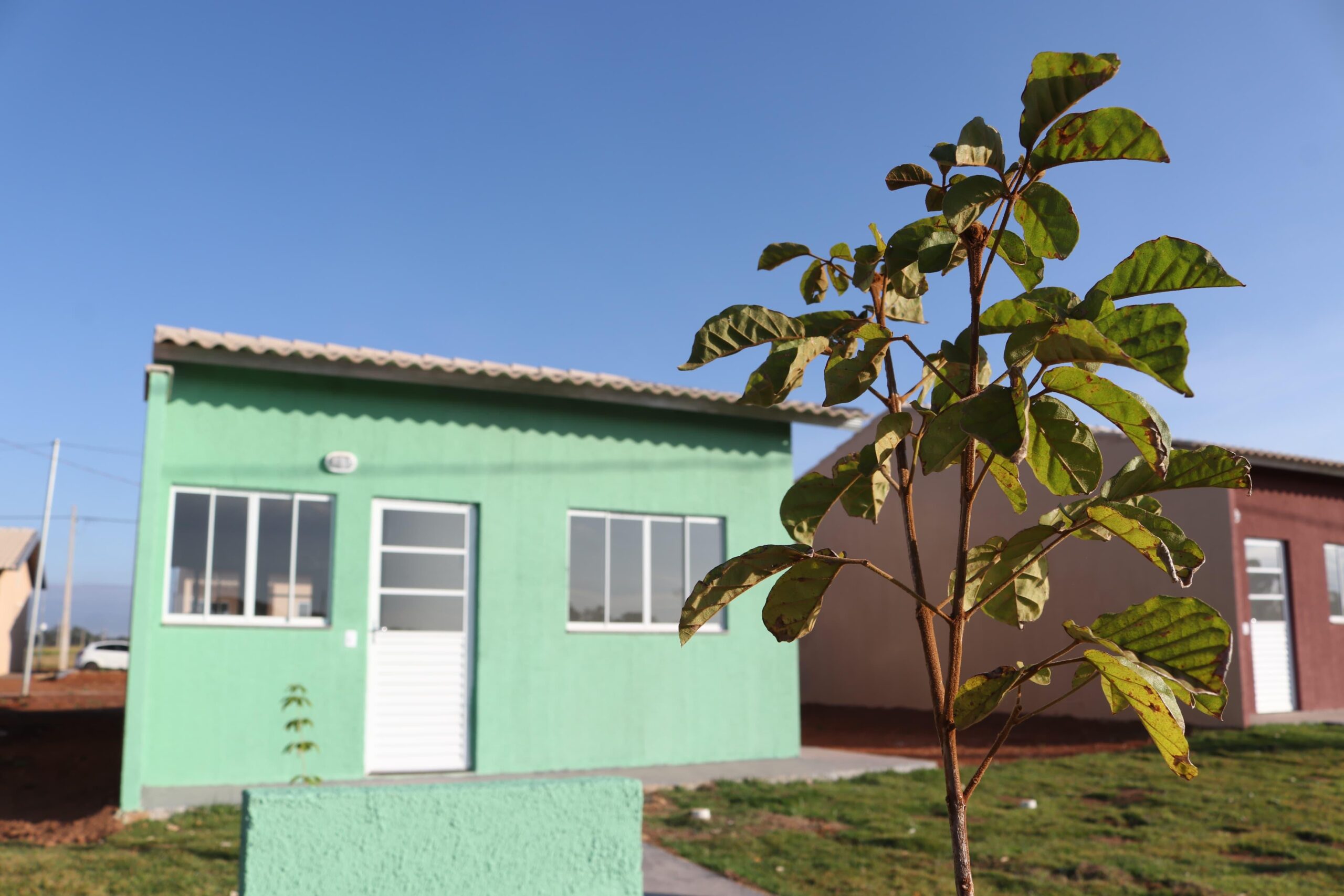 casas a custo zero em 15 municípios