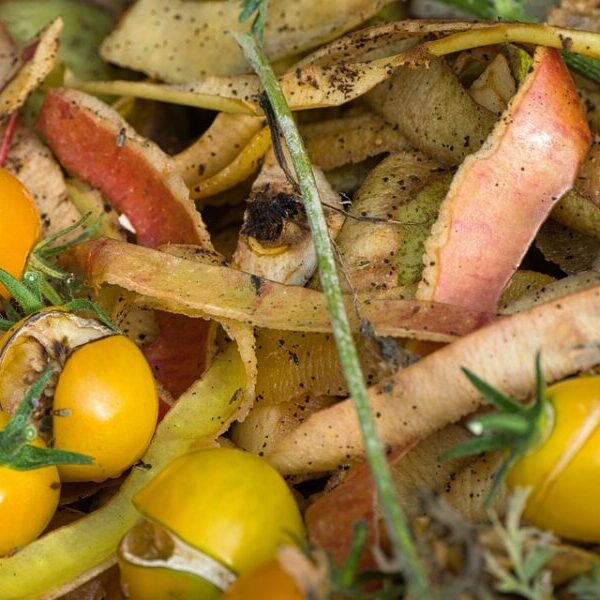 Meio Ambiente lança Guia de Compostagem para municípios