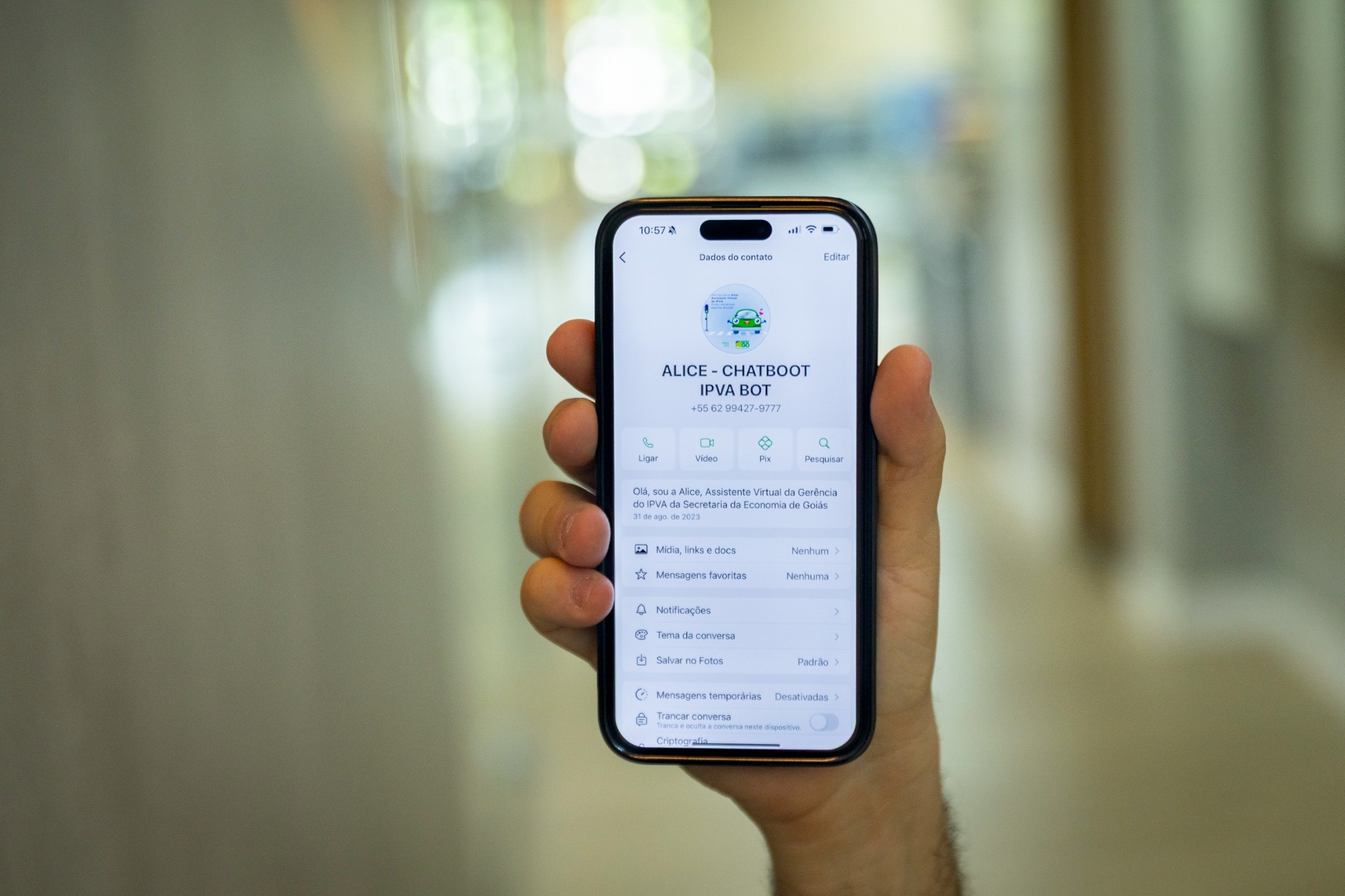 Assistente virtual do IPVA já atendeu mais de 12 mil pessoas