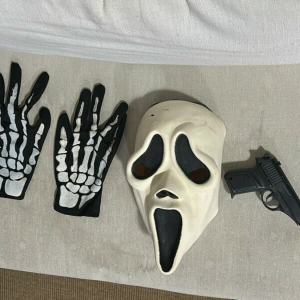 Operação desarticula grupo por práticas ilícitas na web