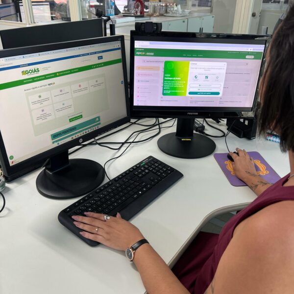Serviços acessados por meio do SEI ficarão indisponíveis