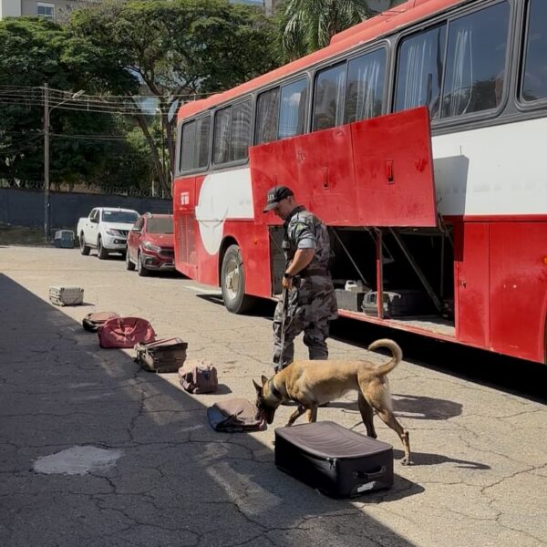 BPCães realiza teste de certificação para os farejadores