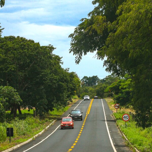 Publicado edital para restauração da GO-309