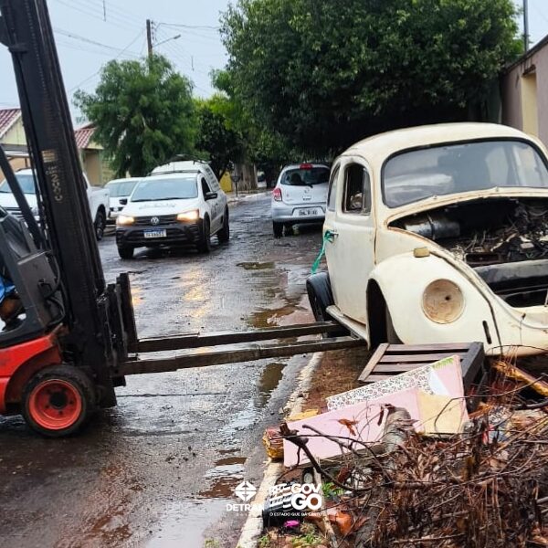 Patrulha Detran remove 20 carcaças e veículos em Caçu