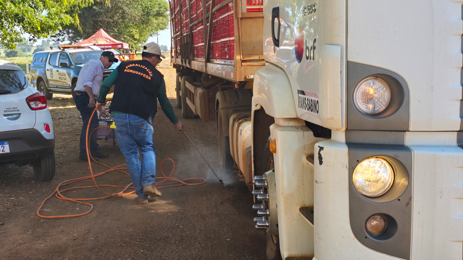 Agrodefesa intensifica medidas emergenciais para conter foco de gripe aviária em Santo Antônio da Barra