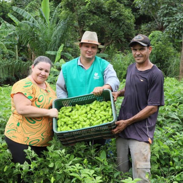 Agricultores atendidos pela Emater