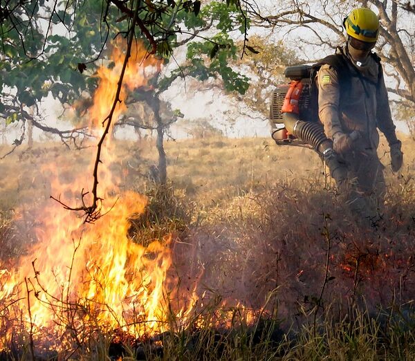 Bombeiro combate incêndio no Cerrado