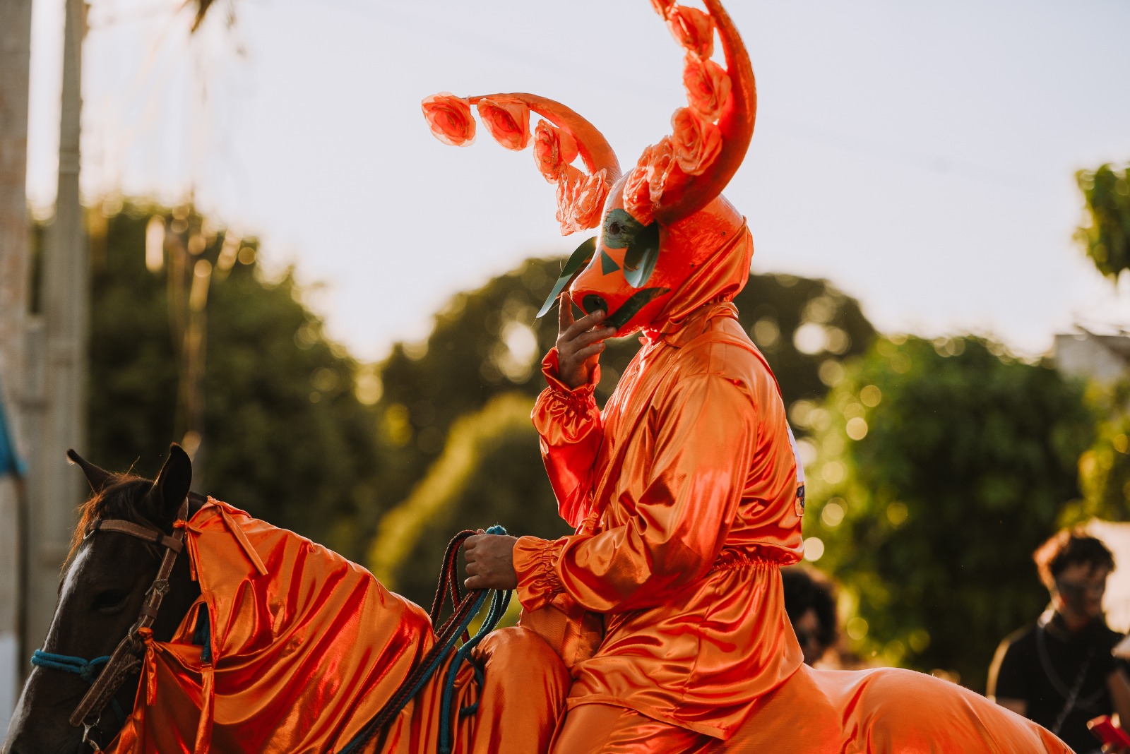 Mascarado das Cavalhadas