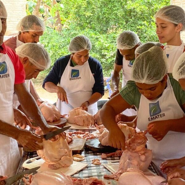 Emater realiza 1ª edição do Agro é Social Quilombola no Vale do Paranã