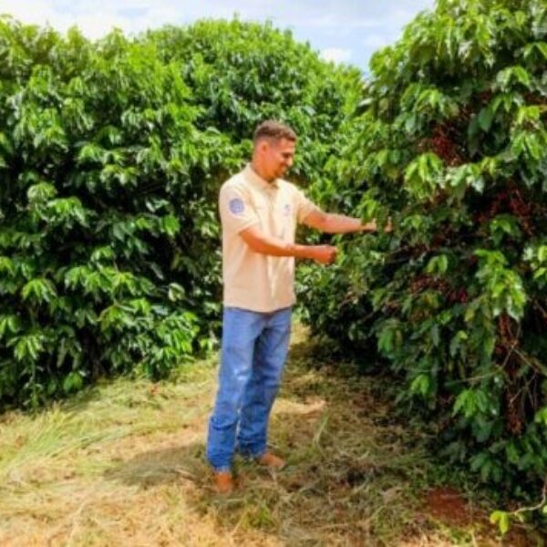 Emater e IF Goiano impulsionam pesquisa em cafeicultura no Cerrado