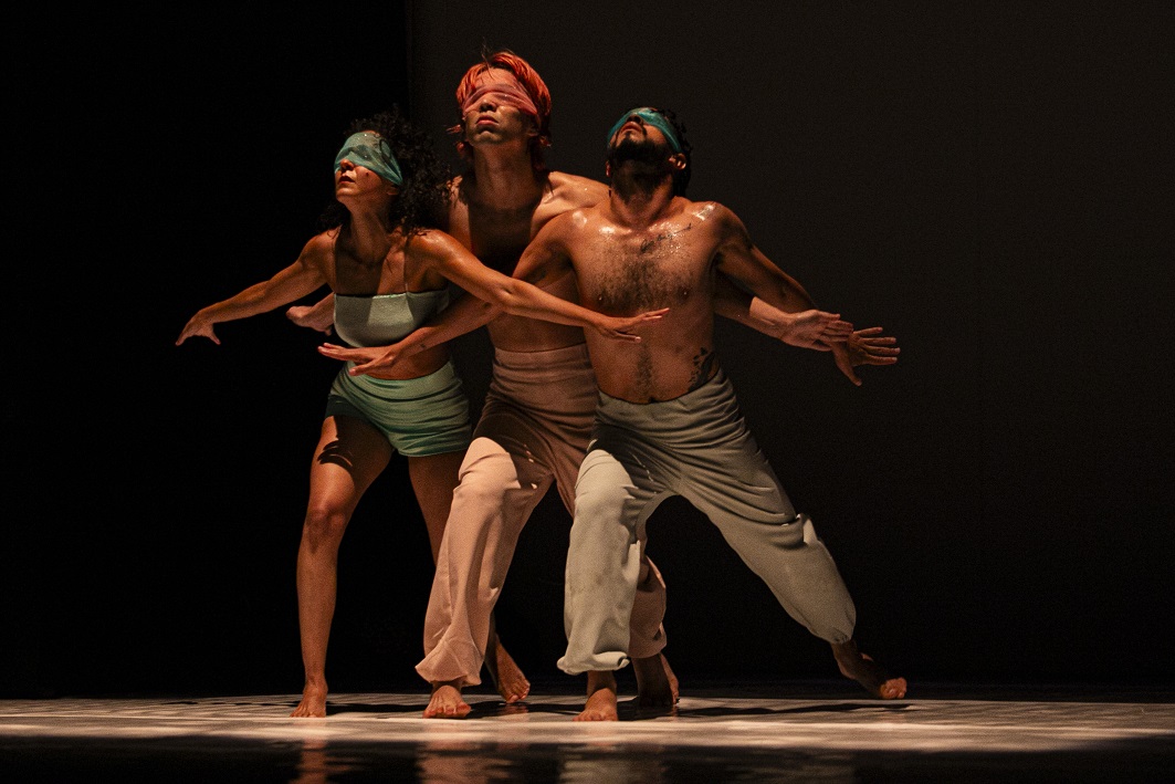 espetáculo de dança Habitat