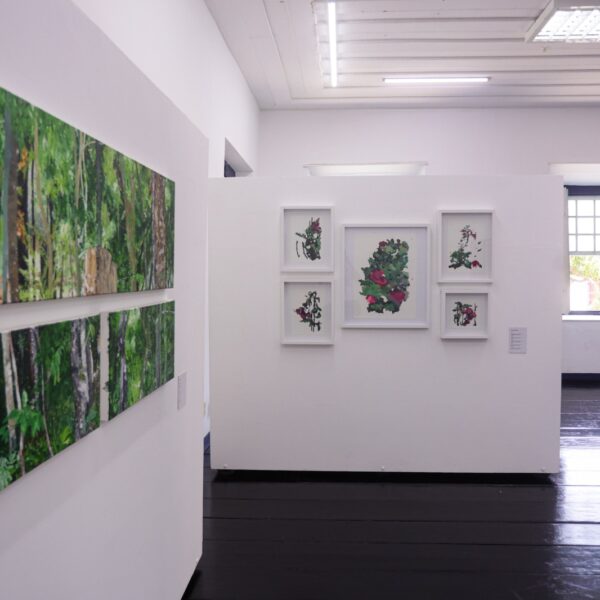 Exposições Fica 2025_Vinícius Schmidt