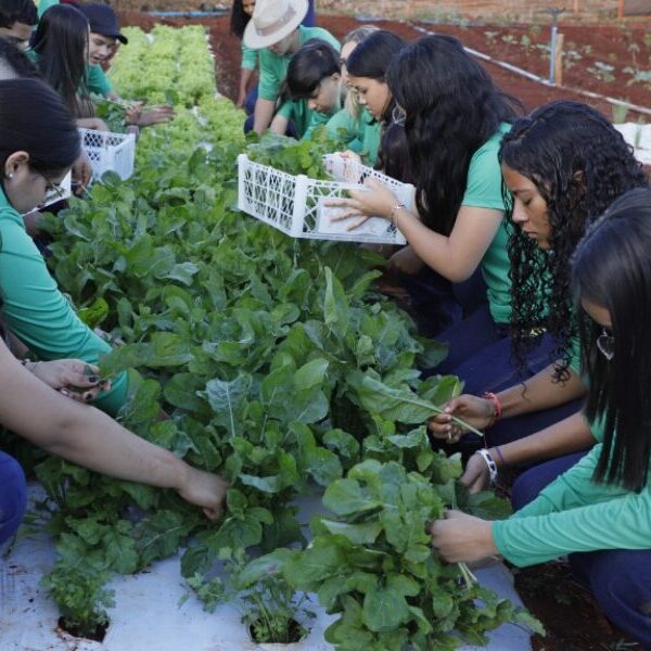 Alunos na horta do Agrocolégio Maguito Vilela