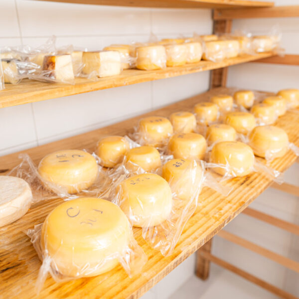 Instruções normativas incentivam regularização de pequenos produtores