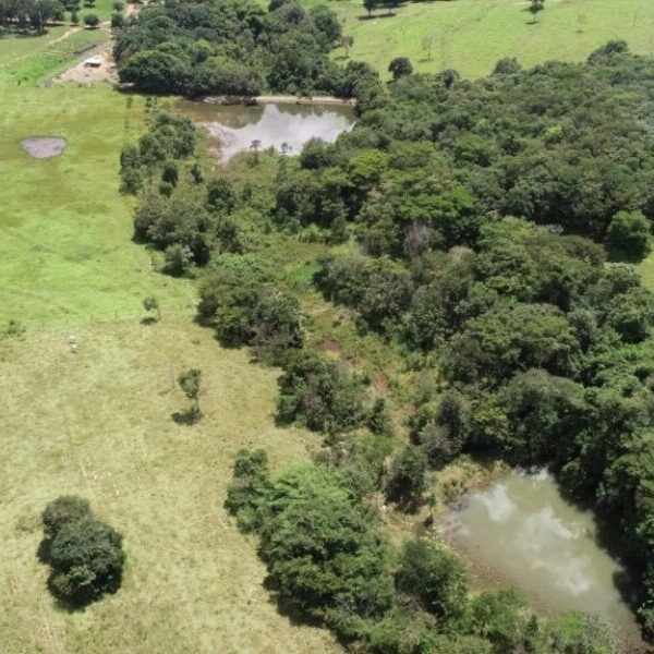 Área recuperada por projeto da Emater em Jandaia