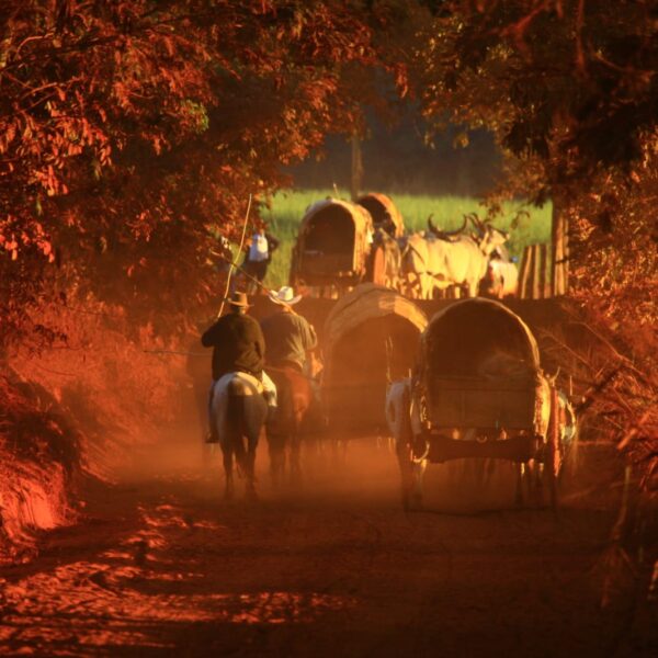 Trindade recebe exposição sobre fé e cultura dos carreiros / Fotos: Lázaro Neves