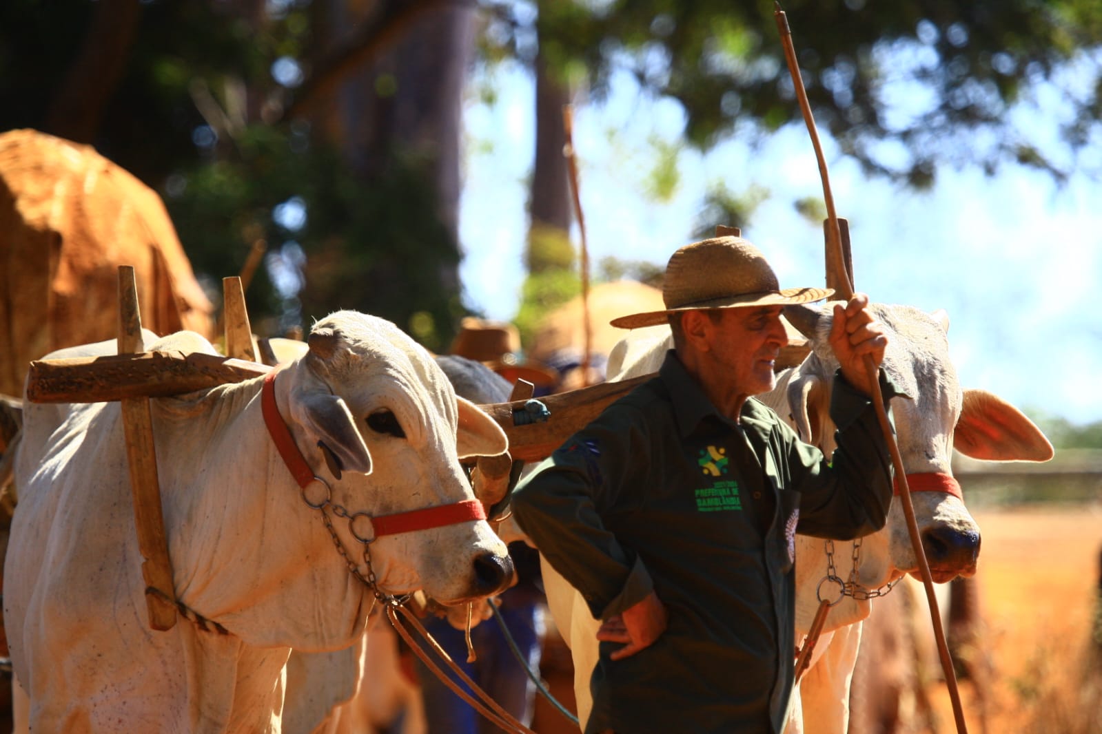 Trindade recebe exposição sobre fé e cultura dos carreiros
