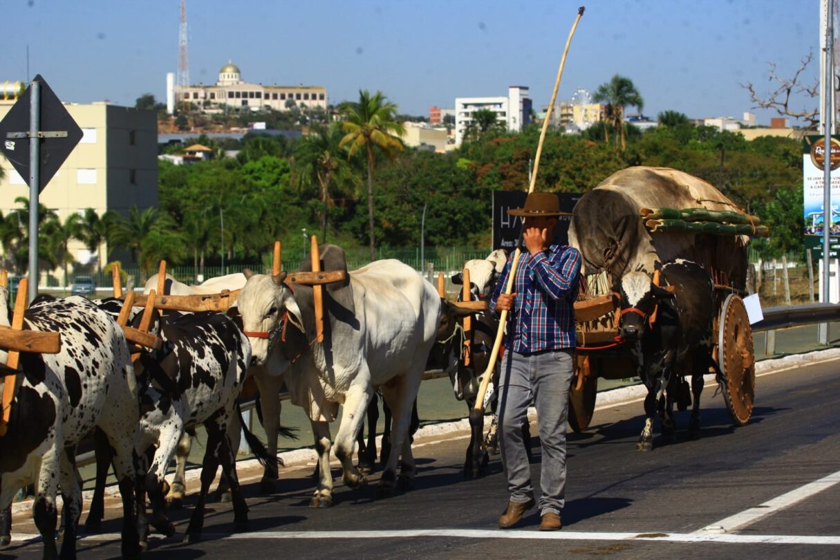 Trindade recebe exposição fotográfica inédita de Lázaro Neves