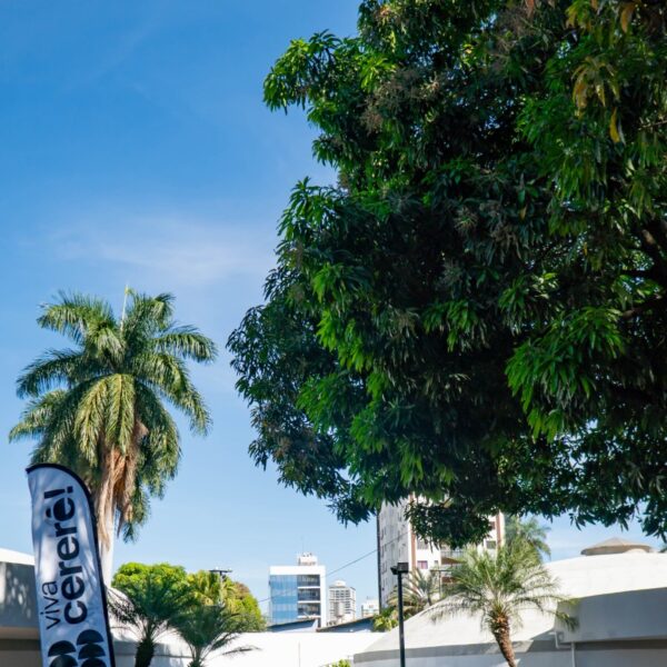 Martim Cererê recebe II Arraiá do Basileu neste sábado