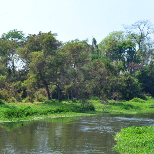 Rio Meia Ponte chega ao Nível Crítico 2