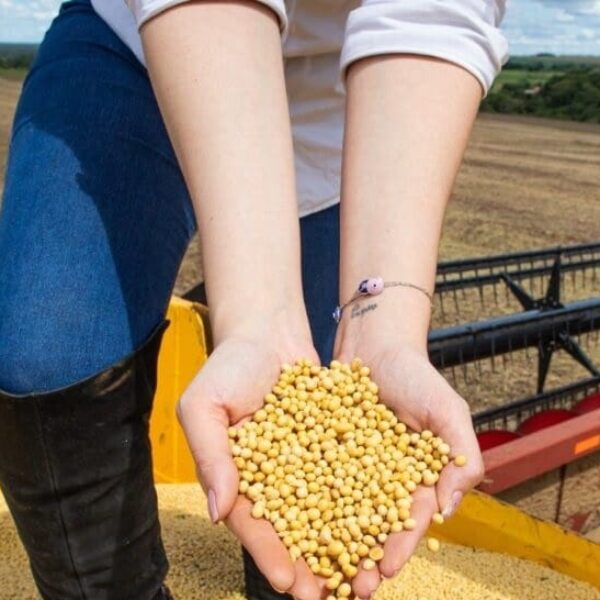PIB de Goiás cresce 7,7% no primeiro trimestre de 2025