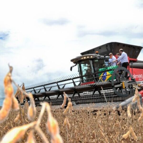 Goiás registra superávit de US$ 3,2 bilhões na balança comercial