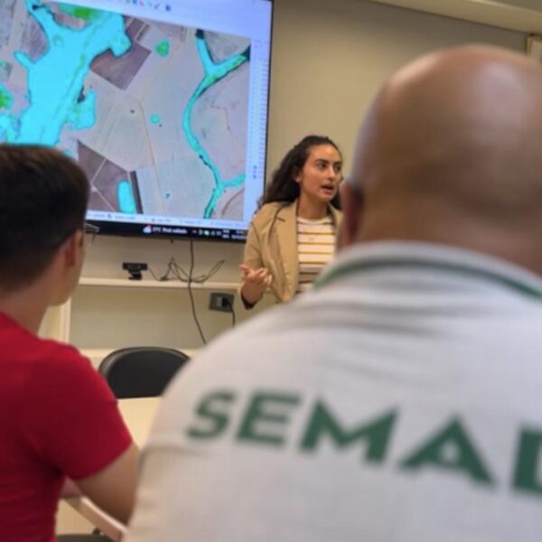 Vegetação nas bacias do Meia Ponte e dos Bois é 42% maior do que se pensava