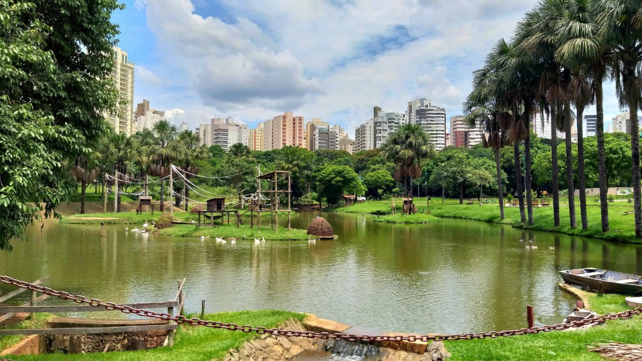 Agrodefesa investiga morte de cisne negro no Zoológico de Goiânia