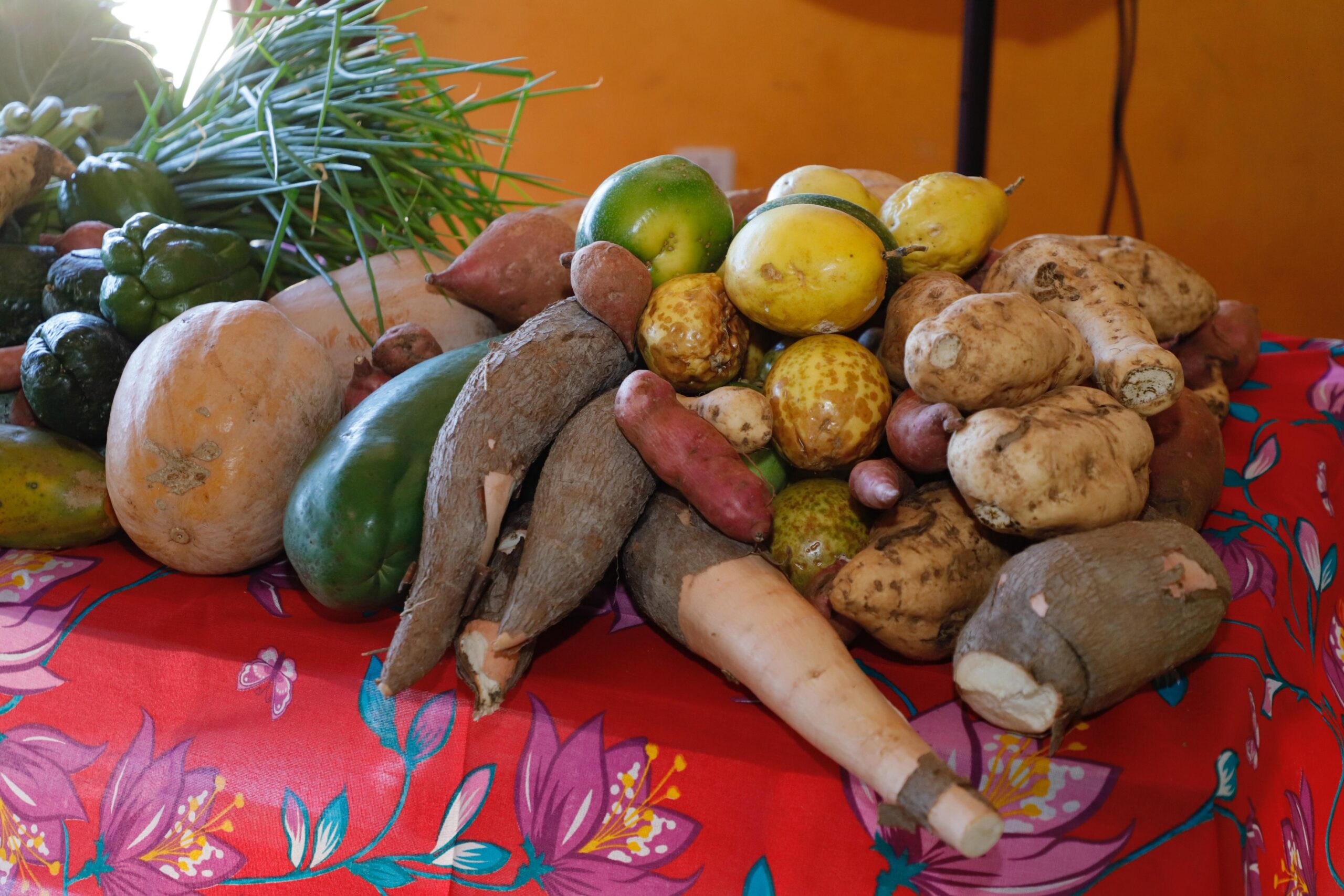 Alimentos do PAA Quilombola
