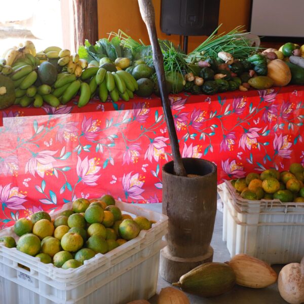 Alimentos do PAA Quilombola