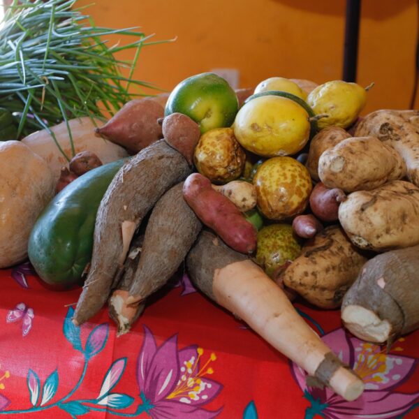 Governo de Goiás amplia lista de produtos comercializados no PAA Quilombola