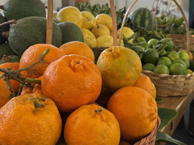 Frutas
