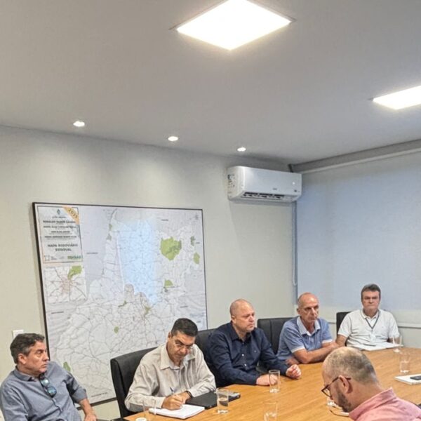 Goinfra orienta empresas sobre cabeamento de internet em faixas de domínio