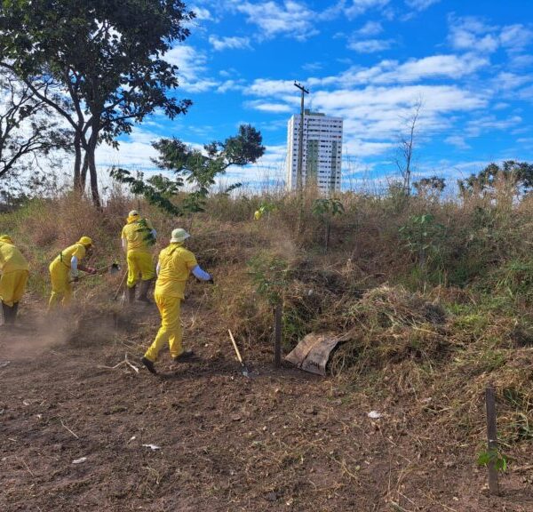 Reeducandos trabalham na limpeza e roçagem do Morro da Serrinha