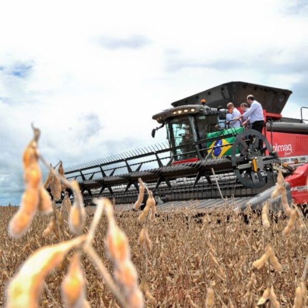 Produção de soja no campo com colheitadeira