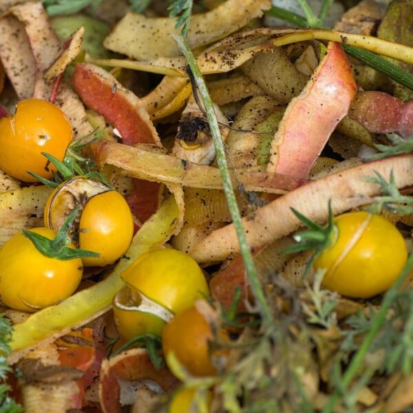 Semad lança guia para ajudar municípios a implantar sistema de compostagem