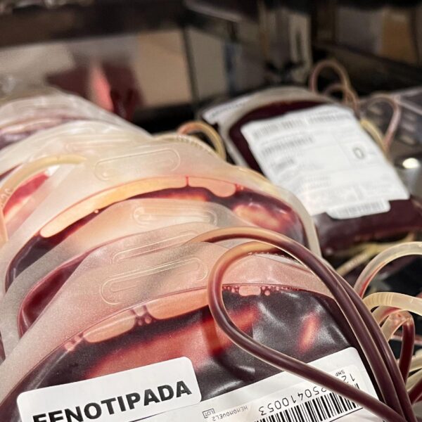 Saúde estadual convoca população a doar sangue O negativo  - bolsas de sangue O negativo estocadas
